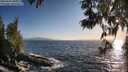./images/koeye/fitz-hugh/20250609/fitz-hugh20250609_200009M.jpg