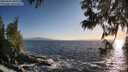./images/koeye/fitz-hugh/20250609/fitz-hugh20250609_200507M.jpg
