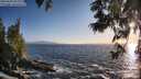 ./images/koeye/fitz-hugh/20250609/fitz-hugh20250609_201009M.jpg