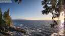 ./images/koeye/fitz-hugh/20250609/fitz-hugh20250609_202509M.jpg