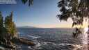 ./images/koeye/fitz-hugh/20250609/fitz-hugh20250609_203009M.jpg