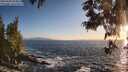 ./images/koeye/fitz-hugh/20250609/fitz-hugh20250609_204009M.jpg