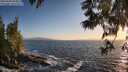 ./images/koeye/fitz-hugh/20250609/fitz-hugh20250609_204508M.jpg