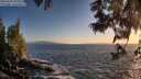 ./images/koeye/fitz-hugh/20250609/fitz-hugh20250609_205009M.jpg