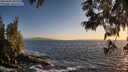 ./images/koeye/fitz-hugh/20250609/fitz-hugh20250609_205508M.jpg
