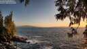 ./images/koeye/fitz-hugh/20250609/fitz-hugh20250609_211508M.jpg
