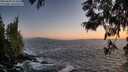 ./images/koeye/fitz-hugh/20250609/fitz-hugh20250609_214509M.jpg