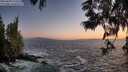 ./images/koeye/fitz-hugh/20250609/fitz-hugh20250609_215508M.jpg