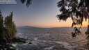 ./images/koeye/fitz-hugh/20250609/fitz-hugh20250609_220508M.jpg