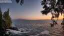 ./images/koeye/fitz-hugh/20250609/fitz-hugh20250609_221008M.jpg