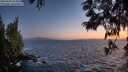 ./images/koeye/fitz-hugh/20250609/fitz-hugh20250609_222008M.jpg
