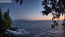 ./images/koeye/fitz-hugh/20250609/fitz-hugh20250609_223009M.jpg