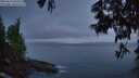 ./images/koeye/fitz-hugh/20250610/fitz-hugh20250610_043509M.jpg