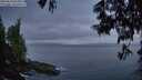 ./images/koeye/fitz-hugh/20250610/fitz-hugh20250610_044009M.jpg