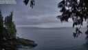 ./images/koeye/fitz-hugh/20250610/fitz-hugh20250610_044509M.jpg