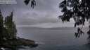 ./images/koeye/fitz-hugh/20250610/fitz-hugh20250610_045010M.jpg