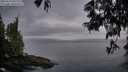./images/koeye/fitz-hugh/20250610/fitz-hugh20250610_045508M.jpg