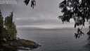 ./images/koeye/fitz-hugh/20250610/fitz-hugh20250610_050508M.jpg