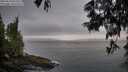 ./images/koeye/fitz-hugh/20250610/fitz-hugh20250610_051009M.jpg