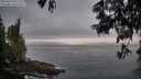 ./images/koeye/fitz-hugh/20250610/fitz-hugh20250610_051508M.jpg
