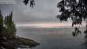 ./images/koeye/fitz-hugh/20250610/fitz-hugh20250610_052007M.jpg