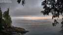 ./images/koeye/fitz-hugh/20250610/fitz-hugh20250610_052508M.jpg