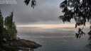 ./images/koeye/fitz-hugh/20250610/fitz-hugh20250610_053009M.jpg