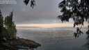 ./images/koeye/fitz-hugh/20250610/fitz-hugh20250610_053507M.jpg