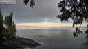 ./images/koeye/fitz-hugh/20250610/fitz-hugh20250610_054509M.jpg
