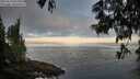 ./images/koeye/fitz-hugh/20250610/fitz-hugh20250610_055508M.jpg