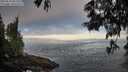 ./images/koeye/fitz-hugh/20250610/fitz-hugh20250610_061510M.jpg