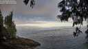 ./images/koeye/fitz-hugh/20250610/fitz-hugh20250610_062508M.jpg