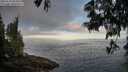 ./images/koeye/fitz-hugh/20250610/fitz-hugh20250610_063011M.jpg