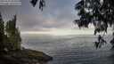 ./images/koeye/fitz-hugh/20250610/fitz-hugh20250610_063509M.jpg