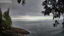 ./images/koeye/fitz-hugh/20250610/fitz-hugh20250610_064508M.jpg