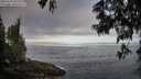 ./images/koeye/fitz-hugh/20250610/fitz-hugh20250610_065010M.jpg