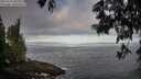 ./images/koeye/fitz-hugh/20250610/fitz-hugh20250610_065510M.jpg