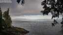 ./images/koeye/fitz-hugh/20250610/fitz-hugh20250610_070012M.jpg