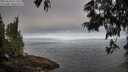 ./images/koeye/fitz-hugh/20250610/fitz-hugh20250610_071509M.jpg