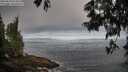 ./images/koeye/fitz-hugh/20250610/fitz-hugh20250610_073010M.jpg