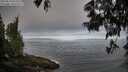 ./images/koeye/fitz-hugh/20250610/fitz-hugh20250610_073510M.jpg
