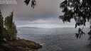 ./images/koeye/fitz-hugh/20250610/fitz-hugh20250610_075009M.jpg