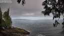 ./images/koeye/fitz-hugh/20250610/fitz-hugh20250610_080012M.jpg