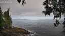 ./images/koeye/fitz-hugh/20250610/fitz-hugh20250610_080510M.jpg