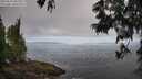 ./images/koeye/fitz-hugh/20250610/fitz-hugh20250610_081010M.jpg