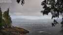 ./images/koeye/fitz-hugh/20250610/fitz-hugh20250610_081510M.jpg