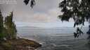 ./images/koeye/fitz-hugh/20250610/fitz-hugh20250610_082509M.jpg