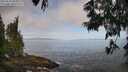 ./images/koeye/fitz-hugh/20250610/fitz-hugh20250610_083011M.jpg