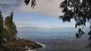 ./images/koeye/fitz-hugh/20250610/fitz-hugh20250610_083510M.jpg