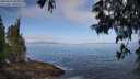 ./images/koeye/fitz-hugh/20250610/fitz-hugh20250610_084010M.jpg